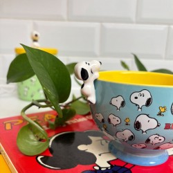 Πορσελάνινη Κούπα Snoopy Πορσελάνινη Κούπα Snoopy από την House of Disaster