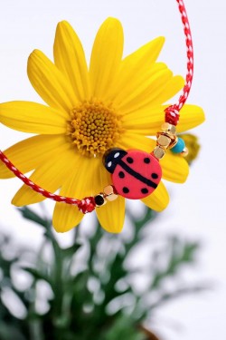 Μαρτάκι Toolittle Ladybug