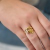 Gold-Plated Stainless Steel Ring Gold-Plated Stainless Steel Ring